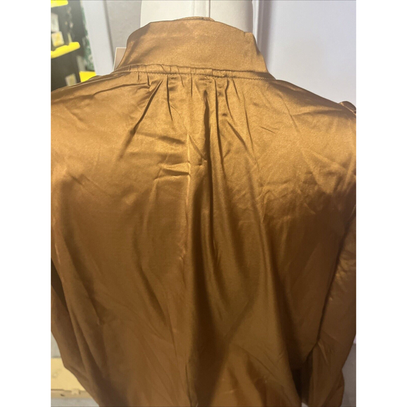 Women’s Rouched Long Sleeve Silky Soft Copper Vneck Blouse By Paparazzi - Picture 13 of 15